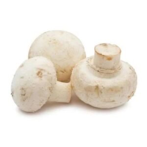 BUTTON MUSHROOM - PER PACKET